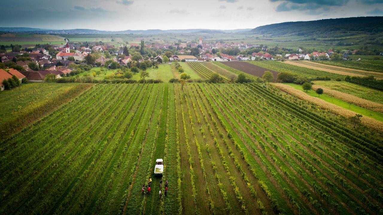 Weingut Familie Krell Hotel Mitterretzbach Buitenkant foto